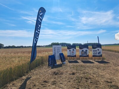 1. Selectis dan polja tvrtke AgroChem MAKS u Tomašancima