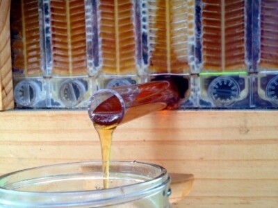 Slavina koja izvlači med Slavina koja izvlači med