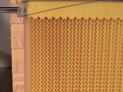 Uz pomoć okretanja ključa saće se otvara kako bi med istekao u pripremljenu posudu Uz pomoć okretanja ključa saće se otvara kako bi med istekao u pripremljenu posudu