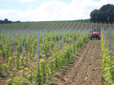 Predstavljeni strojevi za rad u vinogradu
