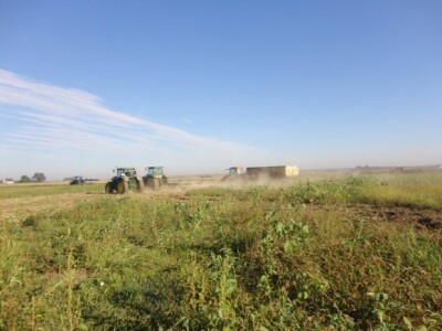 Skupili su se poljoprivrednici sa obližnjih područja i zaustavili Osatinu