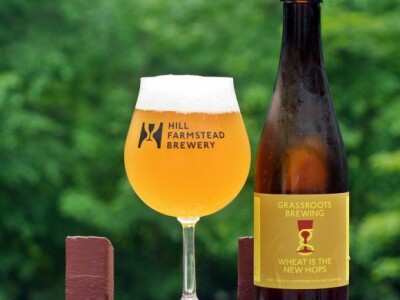 Grassroots Legitimacy (Hill Farmstead)