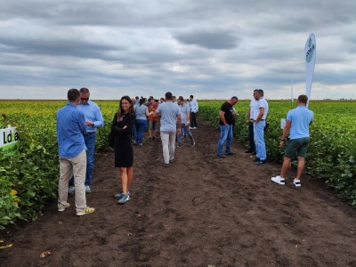 10. Dan polja Donau soje