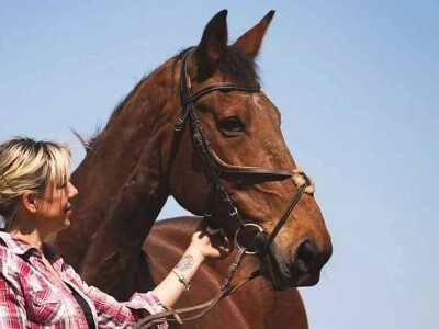 OPG Sandra Cerjanec Bjelovar