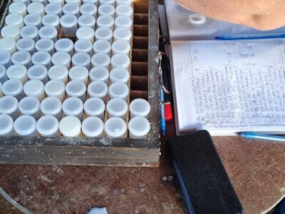 Kontrola mliječnosti