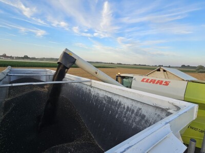 Obrt AZ vlasnice Melite Abičić iz Šaptinovaca