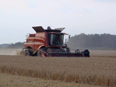 Case kombajn 5130 - žetva pšenice