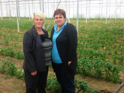 jasna-gojcic-proizvodi9