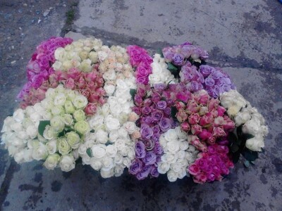 Ruže porodice Lazarević iz sela Maskare kod Varvarina