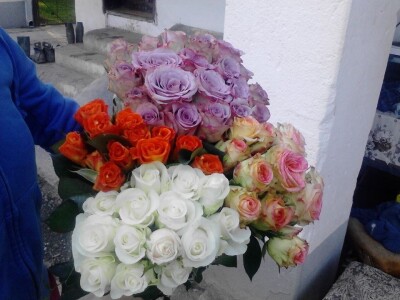 Ruže porodice Lazarević iz sela Maskare kod Varvarina