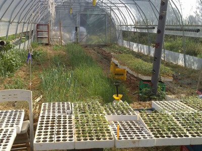 Plastenici Horg Plastenici Horg