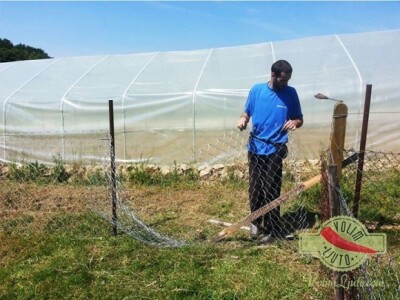 Projekt &quot;Volim ljuto&quot;