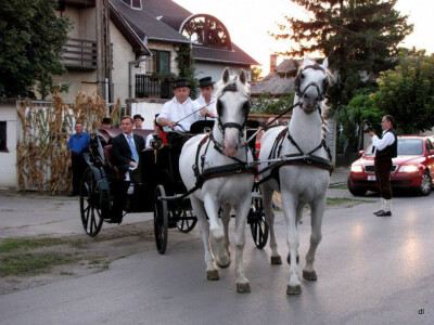 Gradonačelnik Vinkovaca dr. Mladen Karlić u Drobnjakovom fijakeru
