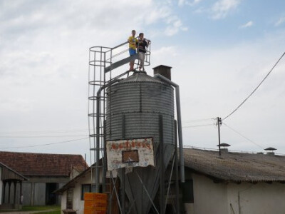 Farma pilića porodice kecman