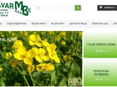 Ulje crnog kima