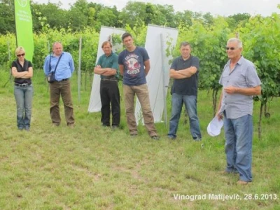 Dani Vinograda u RH