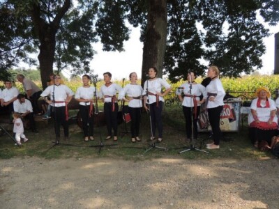 Nastup tamburaških skupina