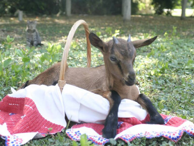 Foto: Josip Đurković Facebook