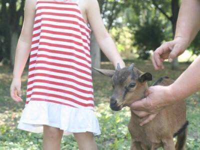 Foto: Josip Đurković Facebook