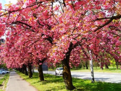 Ideje za razvoj turizma u Otoku