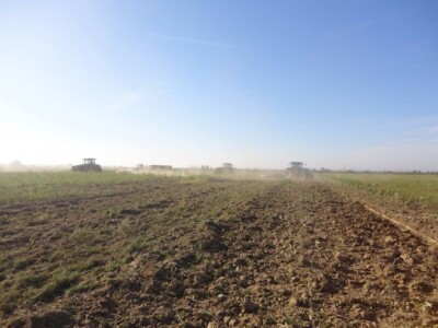 Slučaj Osatina nastavlja se na drugom posjedu