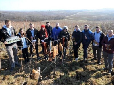 Profesori i studenti požeškog Veleučilišta s gostima proslavili Vincelovo