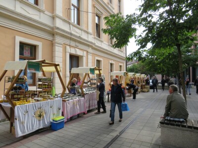 11. Dani pčelarstva, voćarstva i našeg sela u Novom Gradu
