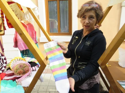 11. Dani pčelarstva, voćarstva i našeg sela u Novom Gradu