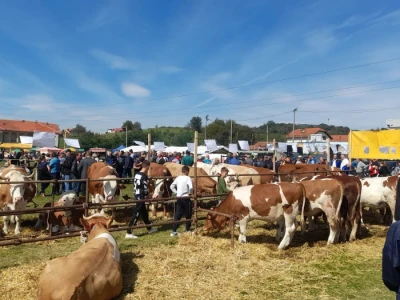 11. izložba stočarstva i ruralno stvaralaštva "Gračanica - Doboj Istok 2022"