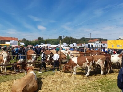 11. izložba stočarstva i ruralno stvaralaštva "Gračanica - Doboj Istok 2022"