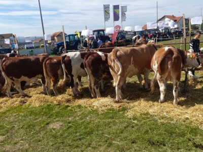 11. izložba stočarstva i ruralno stvaralaštva "Gračanica - Doboj Istok 2022"