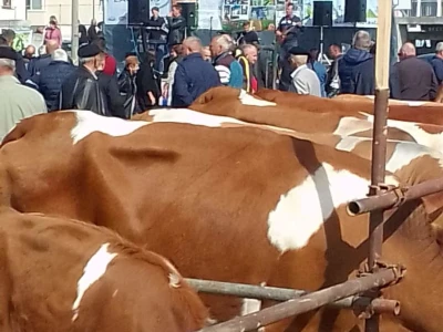 11. izložba stočarstva i ruralno stvaralaštva "Gračanica - Doboj Istok 2022"