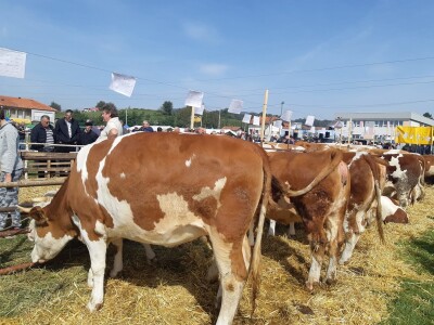 11. izložba stočarstva i ruralno stvaralaštva "Gračanica - Doboj Istok 2022"