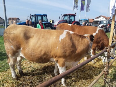 11. izložba stočarstva i ruralno stvaralaštva "Gračanica - Doboj Istok 2022"