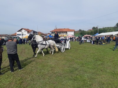 11. izložba stočarstva i ruralno stvaralaštva "Gračanica - Doboj Istok 2022"