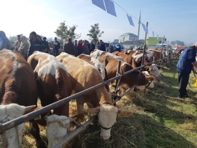 11. izložba stočarstva i ruralno stvaralaštva "Gračanica - Doboj Istok 2022"