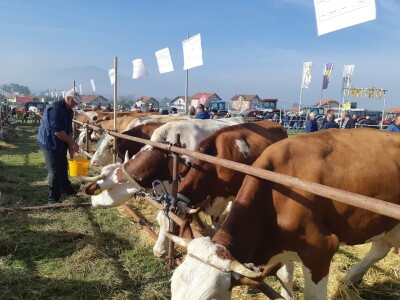 11. izložba stočarstva i ruralno stvaralaštva "Gračanica - Doboj Istok 2022"