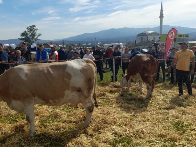 11. izložba stočarstva i ruralno stvaralaštva "Gračanica - Doboj Istok 2022"