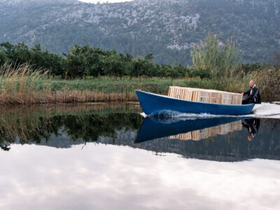 Izvlačenje ubranih mandarina do prve otkupne stanice