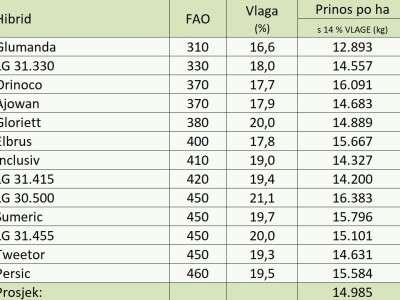 Pokusi hibrida kod Miklin Davora