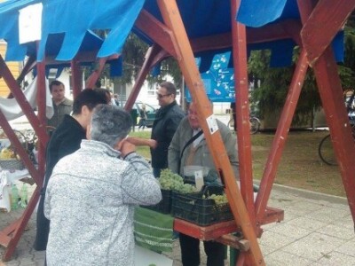 Voćarstvu u Podravini i Prigorju treba vjetar u leđa