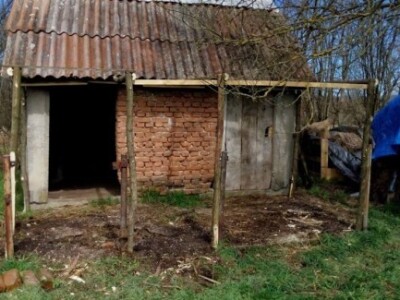 Agrikultura Orlović