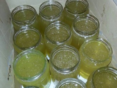 Organsko pčelarstvo Organsko pčelarstvo