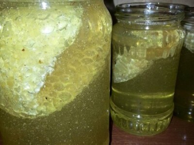 Organsko pčelarstvo Organsko pčelarstvo