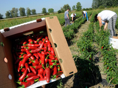 Izvor slike: Tihomir Sotinac Facebook