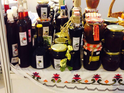 serif-dervisa-husidic-2 serif-dervisa-husidic-2