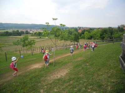 OPG Kovač
