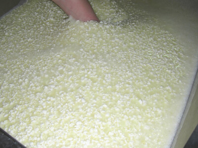 Sirevi s plemenitom plijesni su budućnost