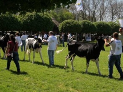 XX. stočarski i ratarski dani u Hódmezővásárhely-u