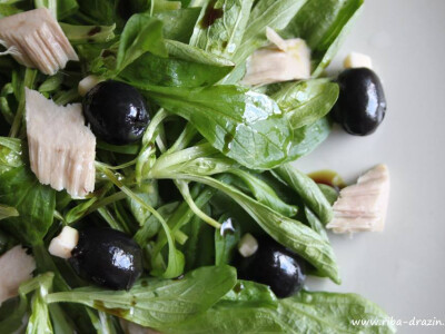 Salata od ribe, maslina i rikole